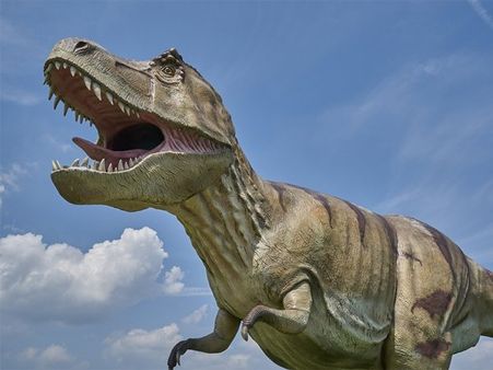 તમને ગમતા ડાયનોસોર પરથી જાણો કેવું છે તમારું વ્યક્તિત્વ