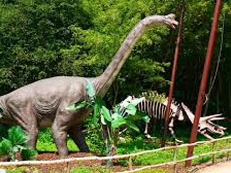 બ્રાશિઓસોરસ