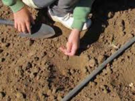 કિસ્મત ચમકાવવા માટે