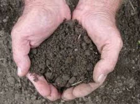 માત્ર એક મુઠ્ઠી માટી પલટાવી શકે તમારી કિસ્મત, જાણો કઈ રીતે