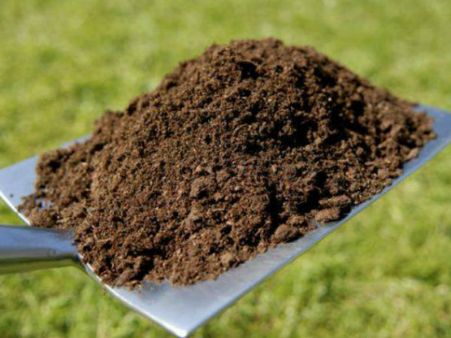 આર્થિક રીતે પરાશાન હોવ તો