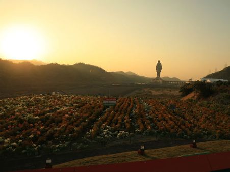 ફ્લાવર ઑફ વેલી