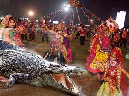 ખેલૈયાઓ ગરબા રમી રહ્યા હતા અને અચાનક આવી પહોંચ્યો 7 ફીટ લાંબો મઘર