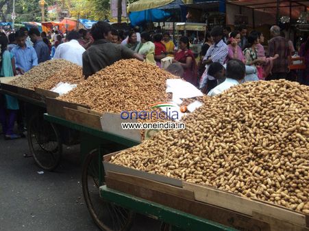 રાજ્યમાં હવે નાફેડ કરશે મગફળીની ખરીદી