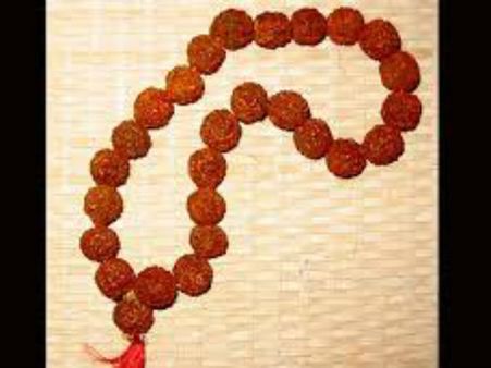 5. પંચમુખી રૂદ્રાક્ષ