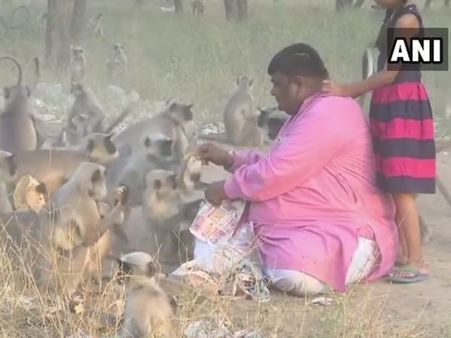 બંદરોથી આ વ્યક્તિને છે એવો લગાવ, પોતાના હાથે ખવડાવે છે 1700 રોટલીઓ