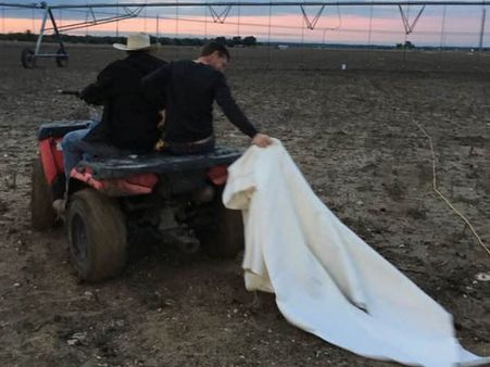 ડ્રેસ બાળવાનો પિતાએ આપ્યો હતો આઈડિયા