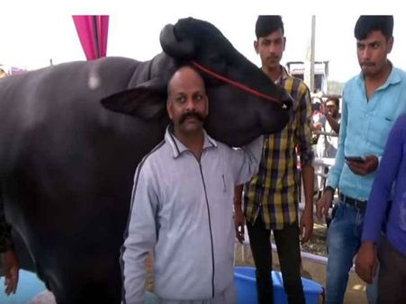 યુવરાજ અને સુલતાન