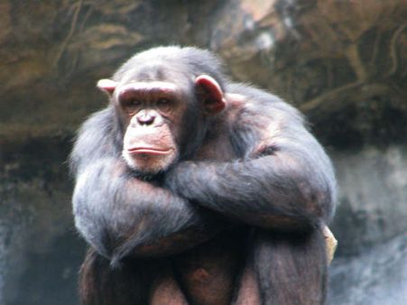 ગ્રાહકો સામે રજુ કરતા પહેલા ઘરેણાં પહેરાવવામાં આવતા 