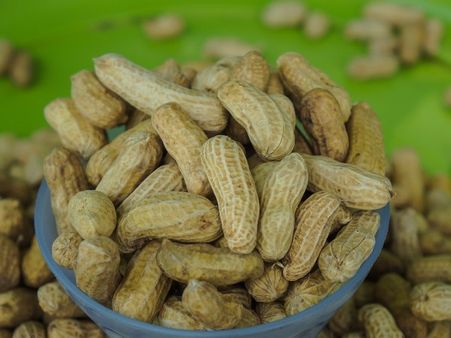 122 સેન્ટર પર કરાશે ખરીદી