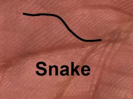 સાપનું ચિહ્ન હોવું શુભ પણ અને અશુભ પણ