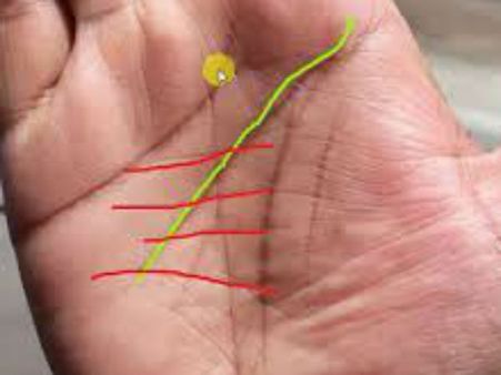 શું તમારી હથેળીમાં પણ સાપનું ચિહ્ન બને છે?