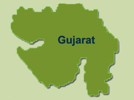 રાજ્યમાં પશુઓની નિકાસ અટકશે કે વધશે
