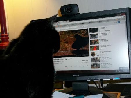 લોન નહિ ચૂકવવા પર ફોટો લીક