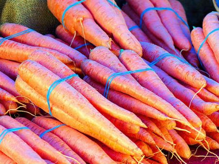 ઘણા કવીન્ટલ ગાજર ધોઈ શકાય