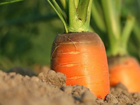 સિસ્ટમ સામે નારાજ 