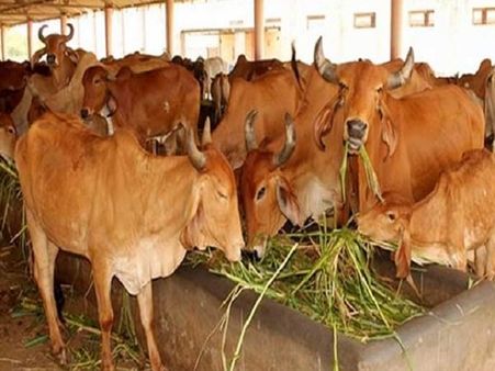 યથા શક્તિ અનુસાર દાન કરો