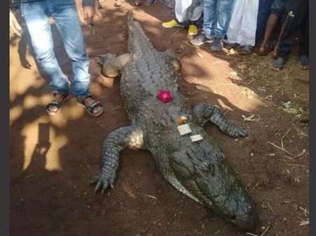 દાળ-ચોખા ખાતો હતો