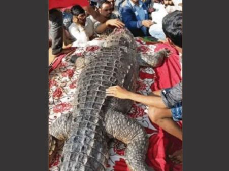 કોઈના પણ ઘટે ચૂલો નથી સળગ્યો