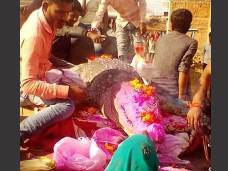 ગંગારામની શવયાત્રામાં 500 લોકો જોડાયા