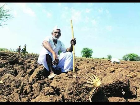 ગુજરાતનો ખેડૂત પૈસાદાર છે કે દેવાદાર