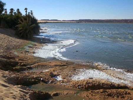 બાલોતરા