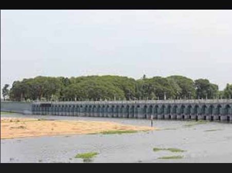 ગુજરાતમાં દરિયામાં ખેતી થવા લાગી