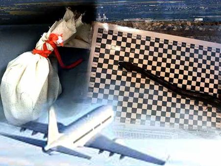 પેન્ટમાં જીવતો સાપ છૂપાવીને ફ્લાઈટમાં જવાની કોશિશ કરી રહ્યો હતો આ શખ્સ