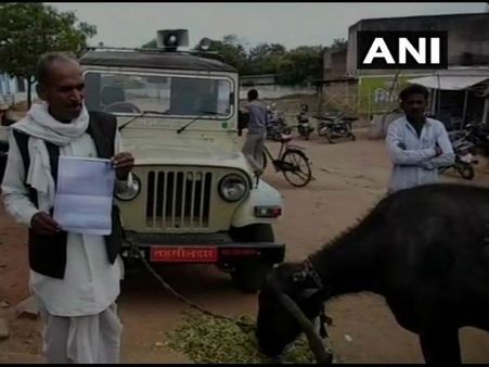 અધિકારીએ ખેડૂત પાસે લાંચ માંગી, તો તેની ગાડી સાથે ભેંસ બાંધી દીધી