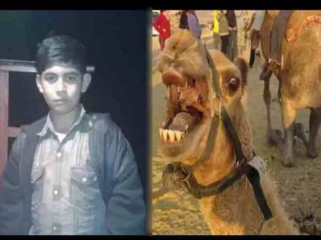 ઉંટને પરેશાન કરવું યુવકને ભારે પડ્યું, ગળાથી પકડીને મારી નાખ્યો