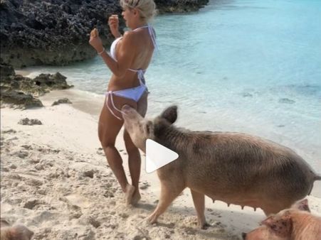 VIDEO: બીચ પર ફોટોશૂટ કરાવી રહેલી મૉડલ પર ભૂંડએ હુમલો કર્યો, હિપ્સ પર કરડ્યું