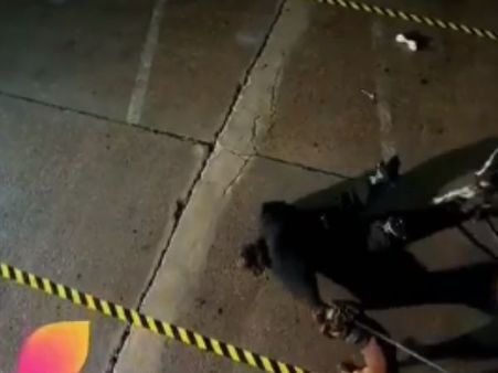 કૂતરાએ કર્યો ભારતી પર હુમલો કૂતરાએ કર્યો ભારતી પર હુમલો