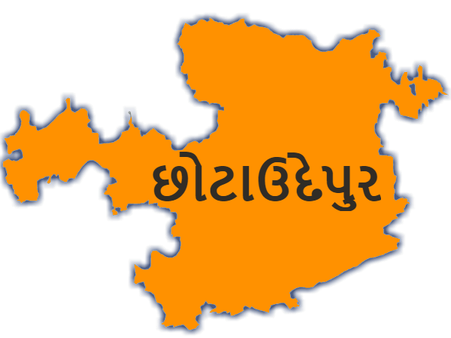 લોકસભા ચૂ્ંટણી 2019: છોટા ઉદેપુર હતો કોંગ્રેસનો ગઢ, આવી રીતે ભાજપે છીનવી લીધો