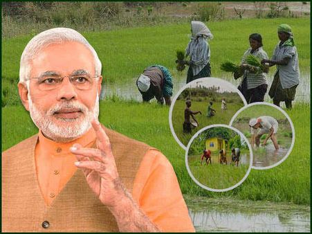 કેન્દ્રીય કૃષિ પ્રધાને આપી માહિતી