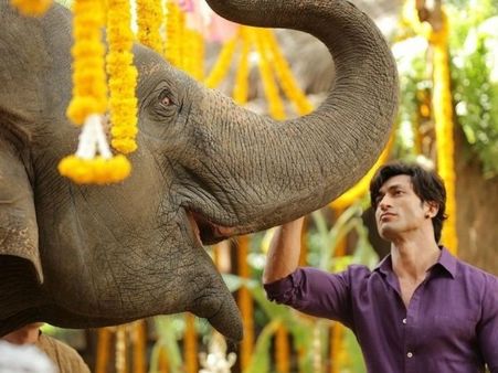 ફિલ્મ રિવ્યૂ જંગલીઃ બકવાસ સ્ટોરી પણ એક્શન છે શાનદાર