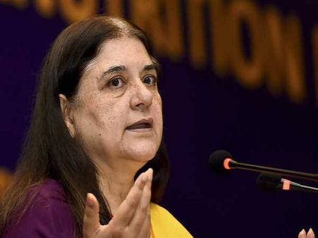 ન્યાય યોજના પર મેનકા ગાંધીનો કટાક્ષ, રાહુલ ગાંધીને ગણાવ્યા ‘શેખચિલ્લી'