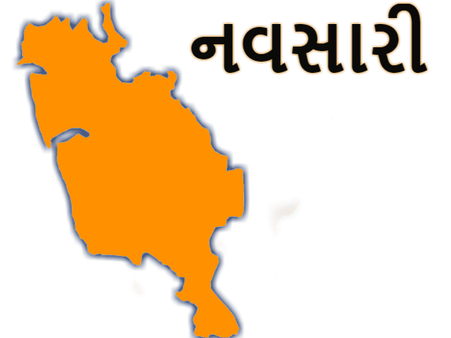 લોકસભા ચૂ્ંટણી 2019: જાણો લોકસભા સીટ નવસારી વિશે