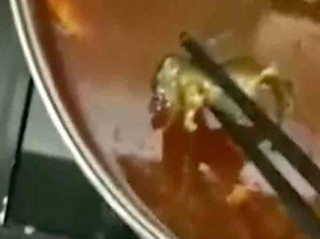 રેસ્ટોરન્ટના સૂપમાં મરેલો ઉંદર મળી આવ્યો હતો રેસ્ટોરન્ટના સૂપમાં મરેલો ઉંદર મળી આવ્યો હતો