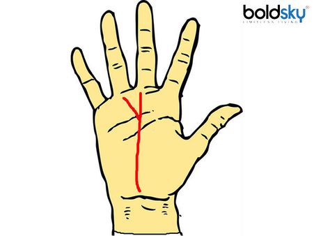 તમારી ભાગ્ય રેખામાંથી બે રેખા નીકળતી હોય