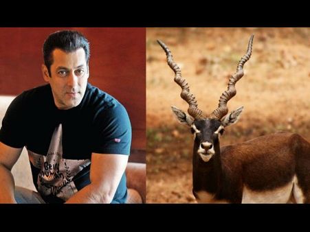 એપ્રિલ સુધી સુનાવણી ટાળી દેવાઈ હતી