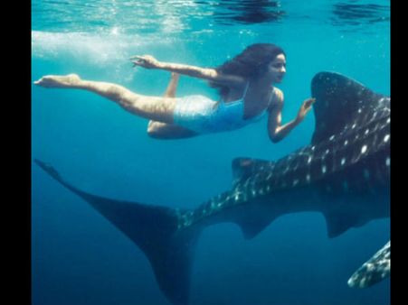 વ્હેલ સાથે 