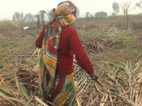 આપવો પડે છે દંડ