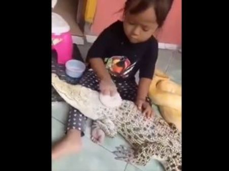 મોત સાથે રમે છે 3 વર્ષની બાળકી, મગરમચ્છનો મેકએપ કરે, અજગરને કરાવે બ્રશ