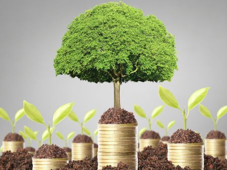 Mutual Fund SIPના 10 ફાયદા, પૈસા થઈ જાય છે બમણા-ચાર ગણા