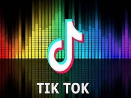 મદ્રાસ હાઇકોર્ટે મોબાઈલ એપ TikTok પરથી બેન હટાવ્યો