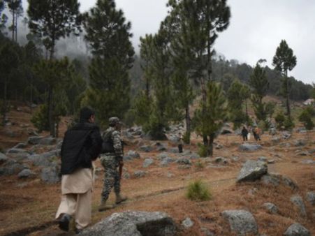 જુઓ તસવીરો