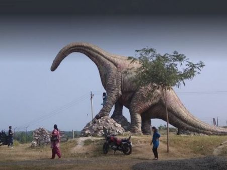 1983માં અહીં પહેલીવાર ખોદકામ દરમિયાન જમીનમાંથી અશ્મિ મળ્યા હતા