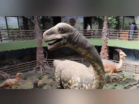 ડાયનોસોરના આ અંગના અશ્મિ મળી ચૂક્યા છે