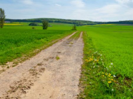 ફિઝિકલ એસ્પેક્ટ