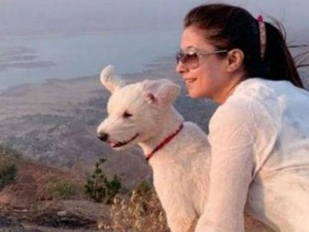 સારુ છે વાદળ નથી, ડૉગીને મળી રહ્યા છે રડારના સિગ્નલ, પીએમ મોદી પર ઉર્મિલાએ કર્યો કટાક્ષ